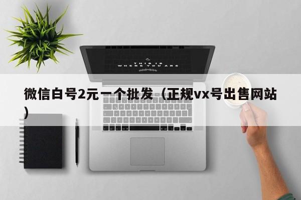 微信白号2元一个批发（正规vx号出售网站）