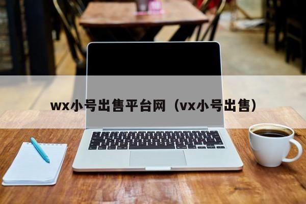 wx小号出售平台网（vx小号出售）