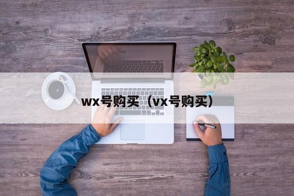 wx号购买（vx号购买）