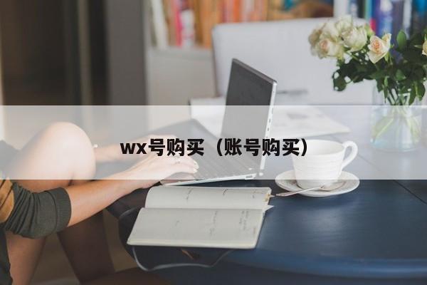 wx号购买（账号购买）