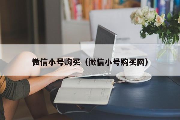 微信小号购买（微信小号购买网）