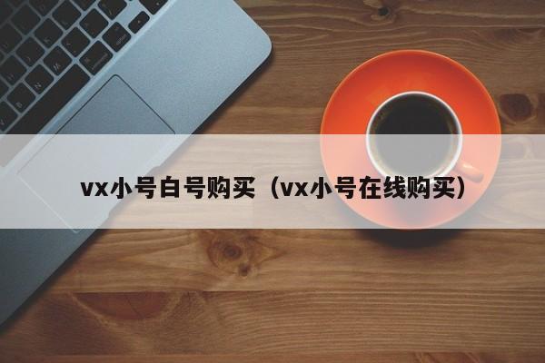 vx小号白号购买（vx小号在线购买）