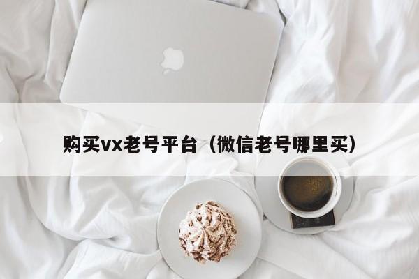 购买vx老号平台（微信老号哪里买）