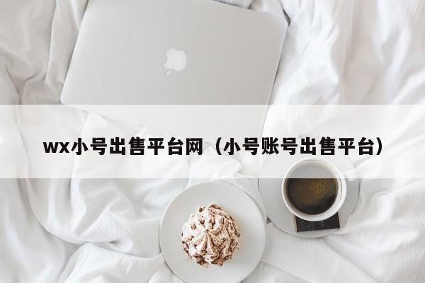 wx小号出售平台网（小号账号出售平台）
