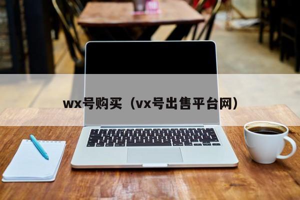 wx号购买（vx号出售平台网）