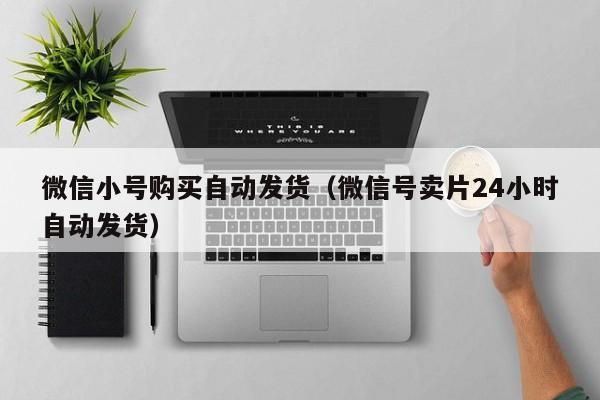 微信小号购买自动发货（微信号卖片24小时自动发货）