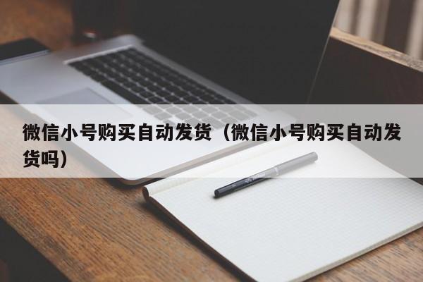 微信小号购买自动发货（微信小号购买自动发货吗）