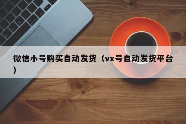 微信小号购买自动发货（vx号自动发货平台）