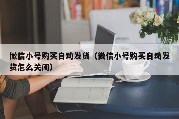 微信小号购买自动发货（微信小号购买自动发货怎么关闭）