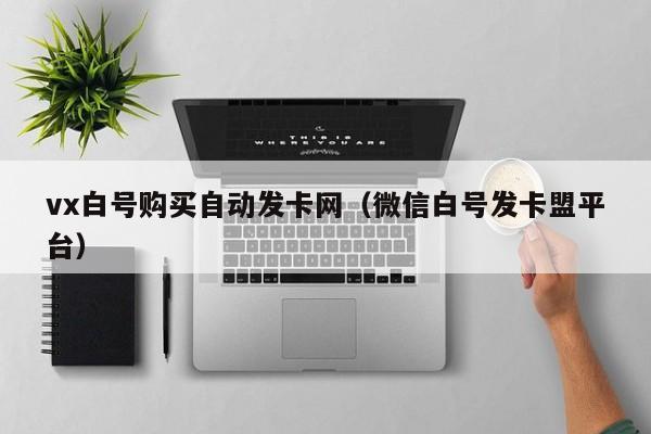 vx白号购买自动发卡网（微信白号发卡盟平台）
