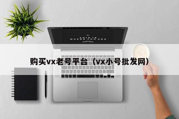 购买vx老号平台（vx小号批发网）