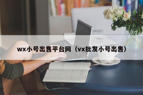 wx小号出售平台网（vx批发小号出售）