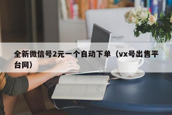 全新微信号2元一个自动下单（vx号出售平台网）