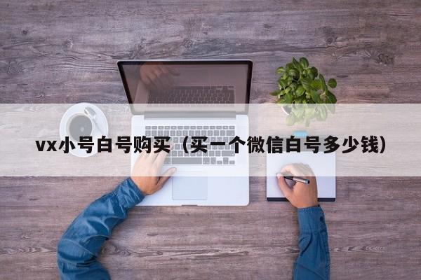 vx小号白号购买（买一个微信白号多少钱）